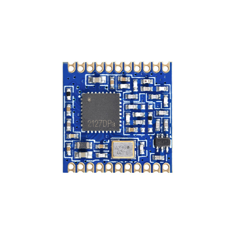 PAN3031 LoRa 무선 라디오 원격 제어 모듈 S - Lora Sx1278 리뷰 및 가격