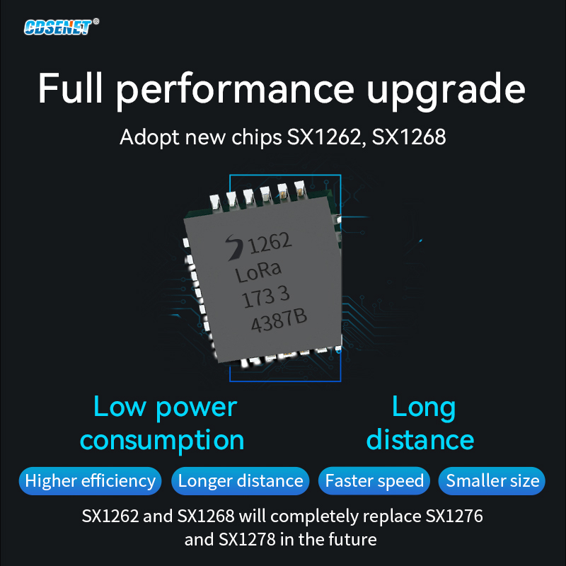 170/433/868/915Mhz LoRa SX1262 - Lora Rfm95 리뷰 및 가격